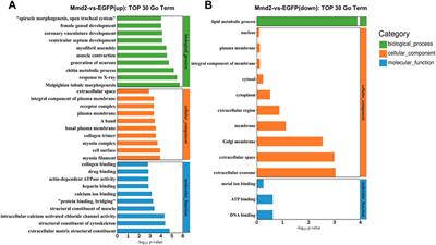 Structure and function analyses of the Mmd2 gene in pacific white shrimp Litopenaeus vannamei